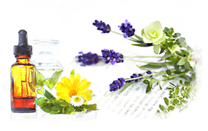 植物やハーブのチカラ