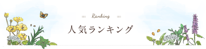 人気ランキング