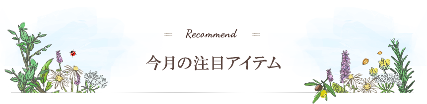 人気ランキング
